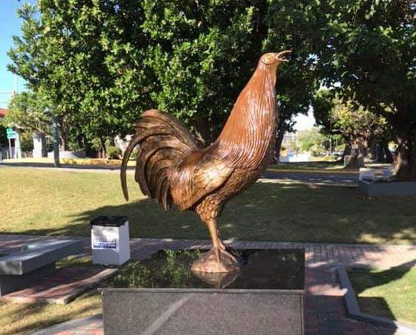 Gallo - estatua - Capitolio - Senado - Foto suministrada - junio 5 2019